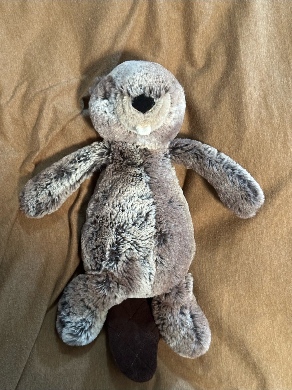 Brown Beaver JellyCat - Picture 2 of 5